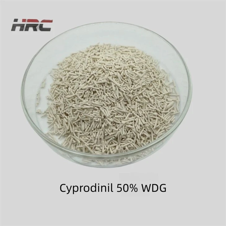 Cyprodinil 50% WDG Cyprodinil 50% WDG